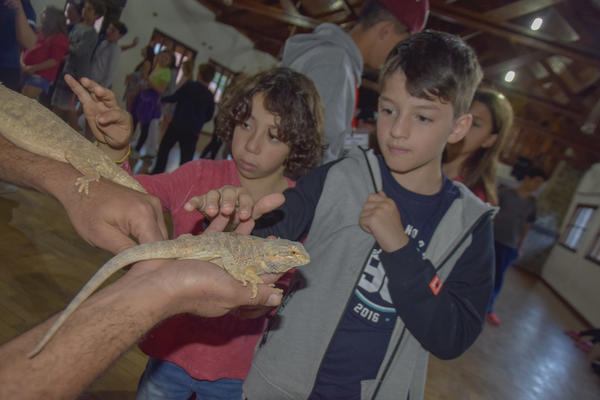 Buy your photos of the eventNR2 - Kids e Teens 24 a 30/07/17 on Fotop