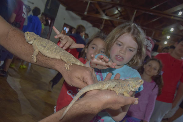 Buy your photos of the eventNR2 - Kids e Teens 24 a 30/07/17 on Fotop