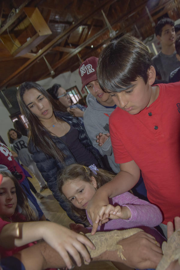 Buy your photos of the eventNR2 - Kids e Teens 24 a 30/07/17 on Fotop