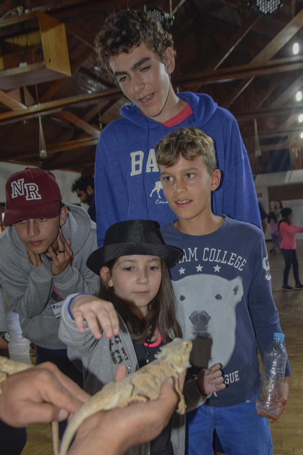 Buy your photos of the eventNR2 - Kids e Teens 24 a 30/07/17 on Fotop