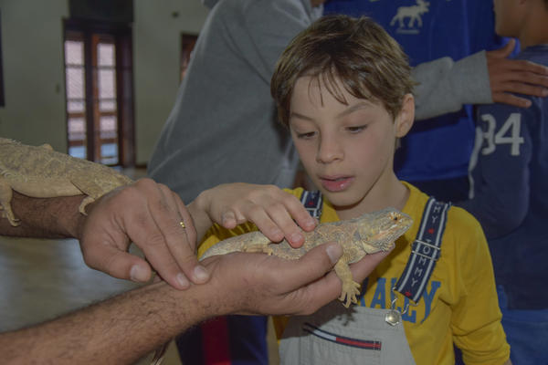 Buy your photos of the eventNR2 - Kids e Teens 24 a 30/07/17 on Fotop