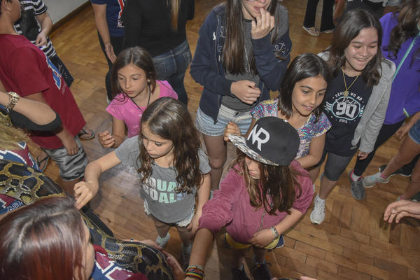 Buy your photos of the eventNR2 - Kids e Teens 24 a 30/07/17 on Fotop