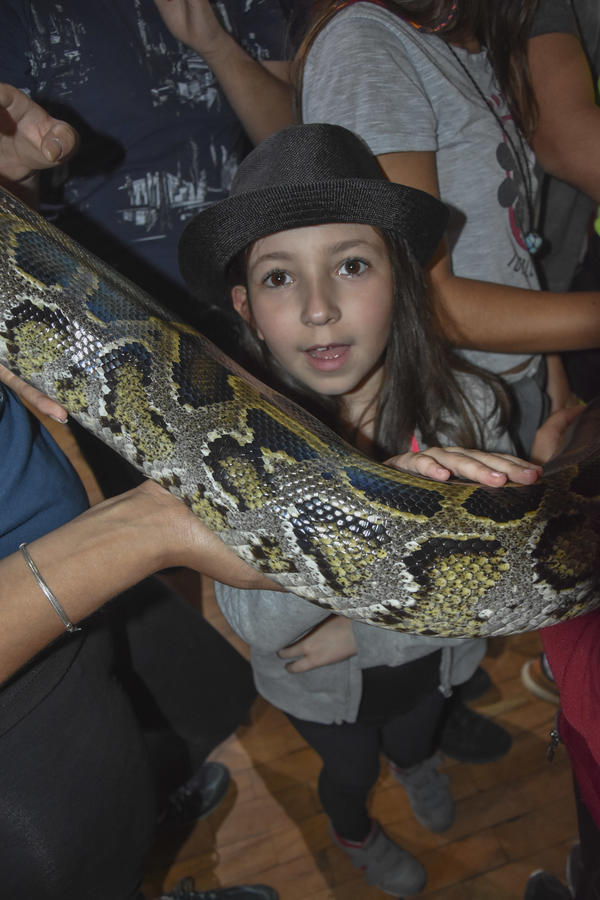 Buy your photos of the eventNR2 - Kids e Teens 24 a 30/07/17 on Fotop