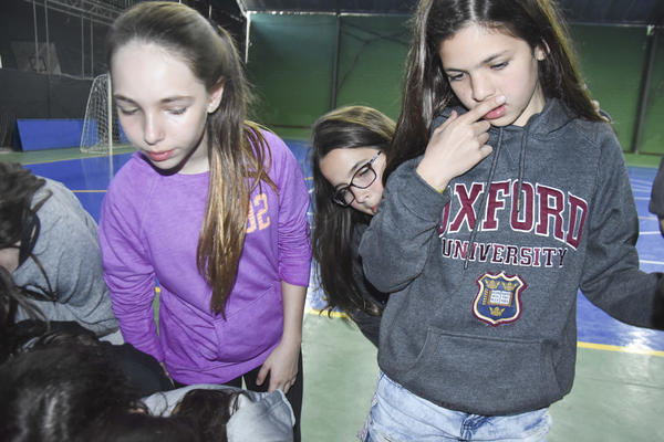 Buy your photos of the eventNR2 - Cl�ssico 31 a 04/08/17 on Fotop