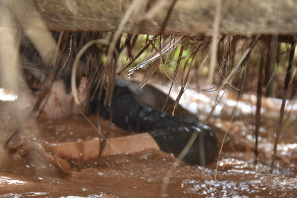 Buy your photos of the eventNR2 - Cl�ssico 31 a 04/08/17 on Fotop