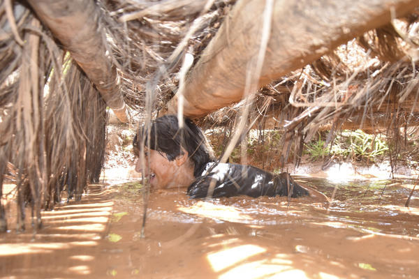 Buy your photos of the eventNR2 - Cl�ssico 31 a 04/08/17 on Fotop