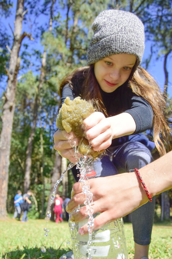 Buy your photos of the eventNR1 - English & Action 06 a 08/08/17 on Fotop