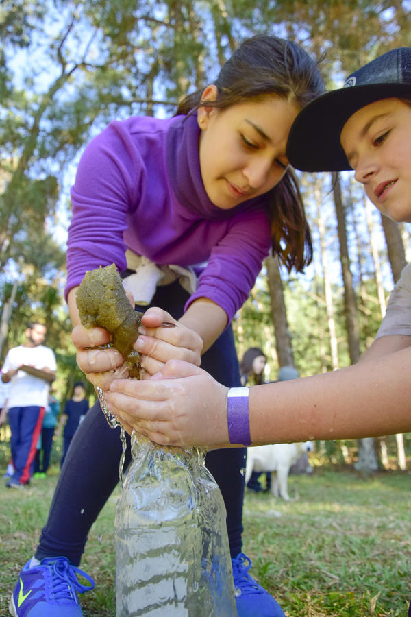 Buy your photos of the eventNR1 - English & Action 06 a 08/08/17 on Fotop