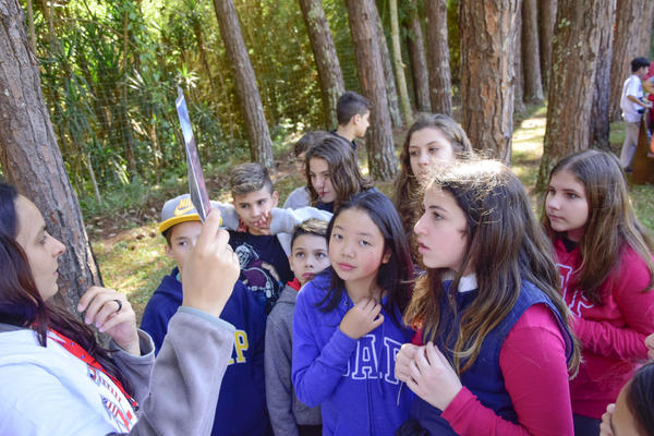 Buy your photos of the eventNR1 - English & Action 06 a 08/08/17 on Fotop