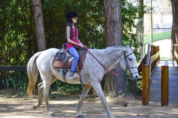 Buy your photos of the eventNR1 - English & Action 06 a 08/08/17 on Fotop