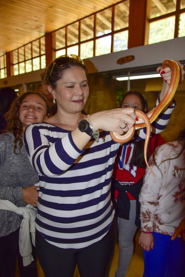 Buy your photos of the eventNR1 - English & Action 06 a 08/08/17 on Fotop