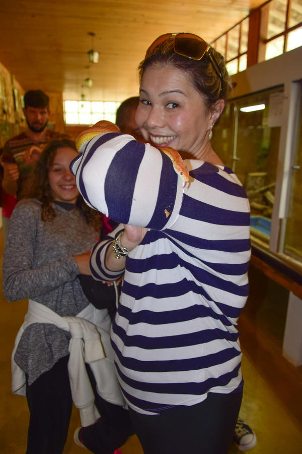 Buy your photos of the eventNR1 - English & Action 06 a 08/08/17 on Fotop