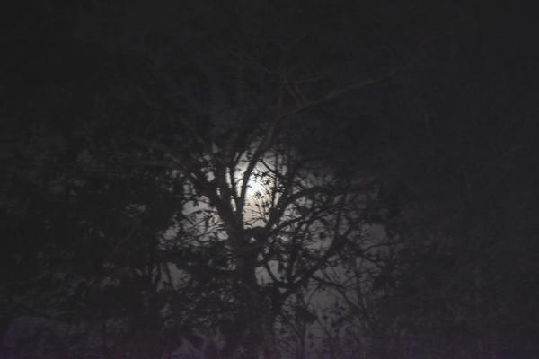 Buy your photos of the eventNR2- Pr�lider 07 a 10/08/17 on Fotop