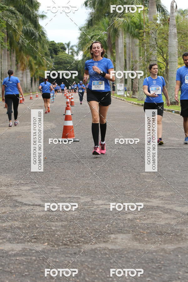 Buy your photos of the eventCircuito Rios e Ruas  Etapa Zoolgico e JD Botnico on Fotop
