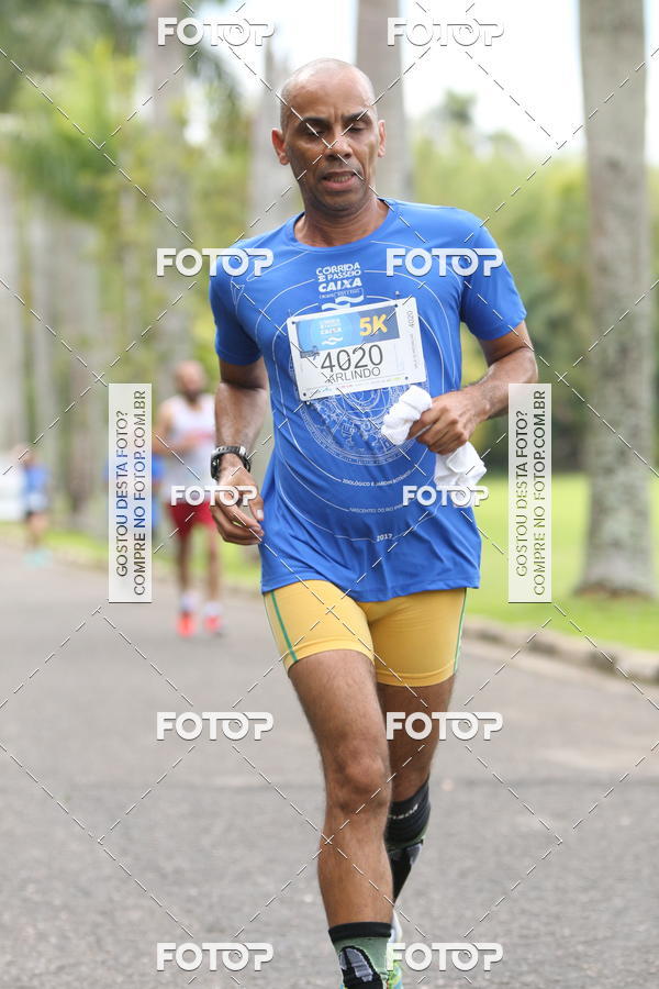 Buy your photos of the eventCircuito Rios e Ruas  Etapa Zoolgico e JD Botnico on Fotop