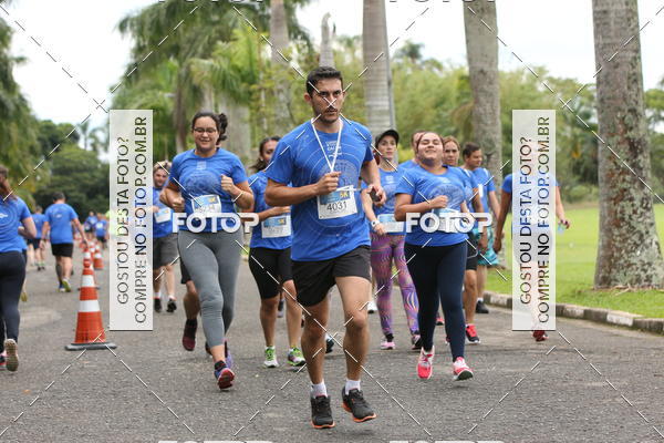 Buy your photos of the eventCircuito Rios e Ruas  Etapa Zoolgico e JD Botnico on Fotop