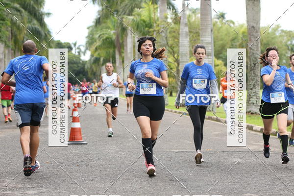 Buy your photos of the eventCircuito Rios e Ruas  Etapa Zoolgico e JD Botnico on Fotop