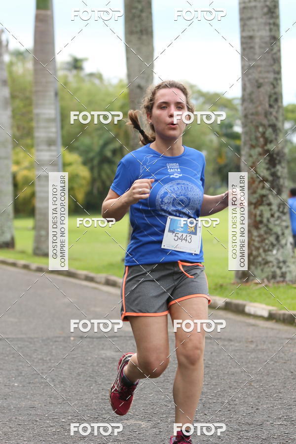 Buy your photos of the eventCircuito Rios e Ruas  Etapa Zoolgico e JD Botnico on Fotop