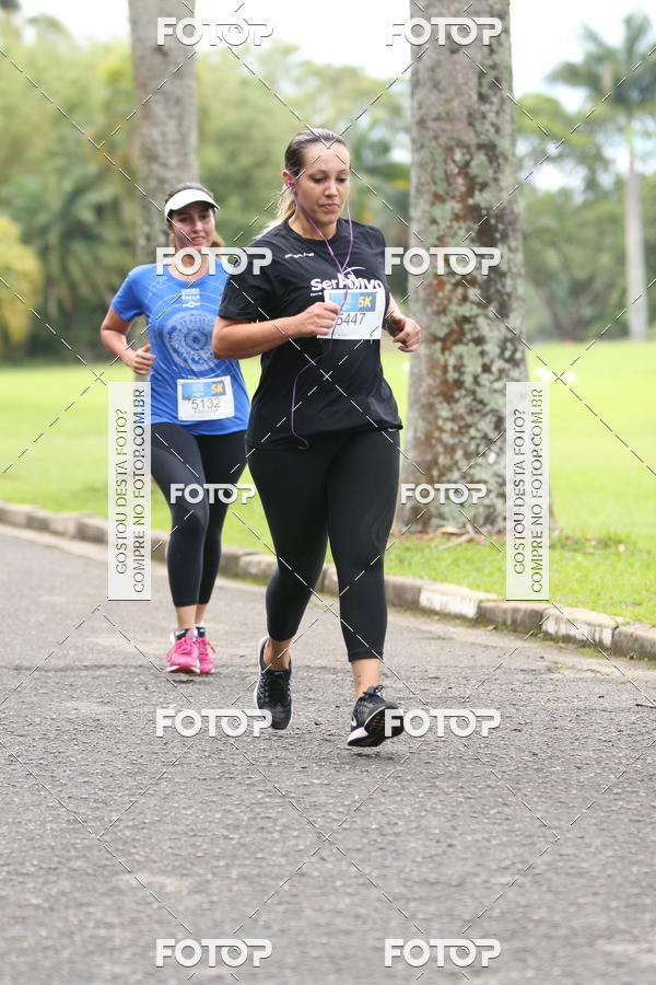 Buy your photos of the eventCircuito Rios e Ruas  Etapa Zoolgico e JD Botnico on Fotop
