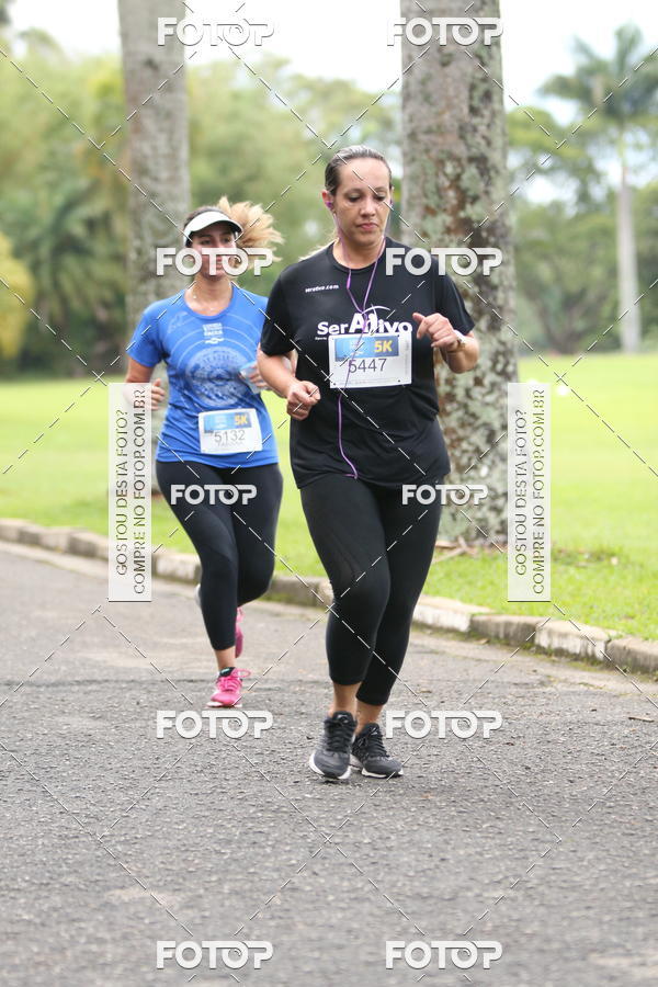 Buy your photos of the eventCircuito Rios e Ruas  Etapa Zoolgico e JD Botnico on Fotop