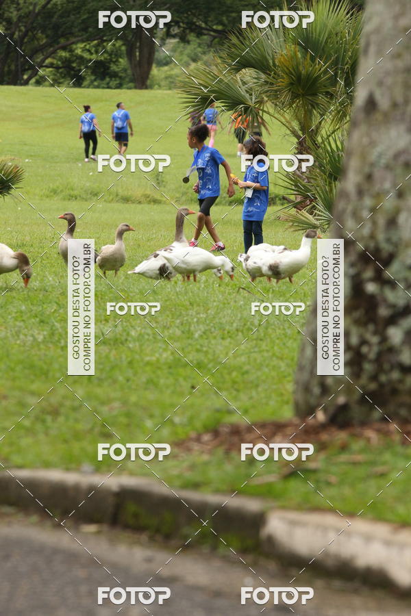 Buy your photos of the eventCircuito Rios e Ruas  Etapa Zoolgico e JD Botnico on Fotop