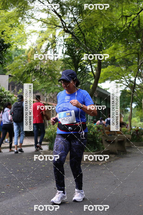 Buy your photos of the eventCircuito Rios e Ruas � Etapa Zool�gico e JD Bot�nico on Fotop