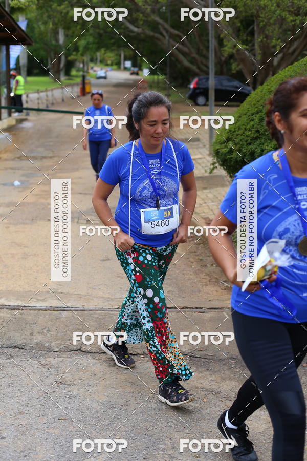 Buy your photos of the eventCircuito Rios e Ruas � Etapa Zool�gico e JD Bot�nico on Fotop