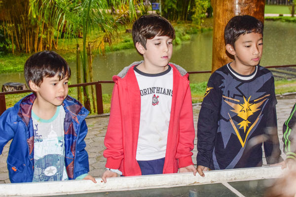 Buy your photos of the eventNR1 - Cl�ssico de 16 a 18/08/17 on Fotop