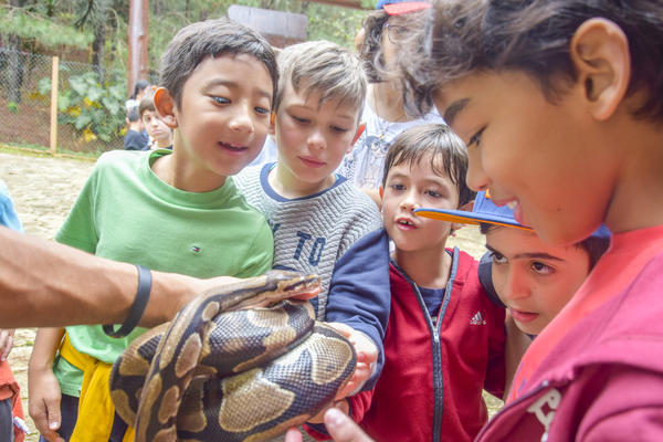 Buy your photos of the eventNR1 - Cl�ssico de 16 a 18/08/17 on Fotop