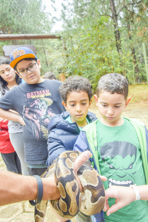 Buy your photos of the eventNR1 - Cl�ssico de 16 a 18/08/17 on Fotop