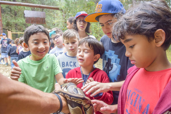 Buy your photos of the eventNR1 - Cl�ssico de 16 a 18/08/17 on Fotop