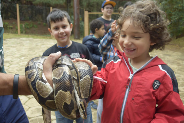 Buy your photos of the eventNR1 - Cl�ssico de 16 a 18/08/17 on Fotop