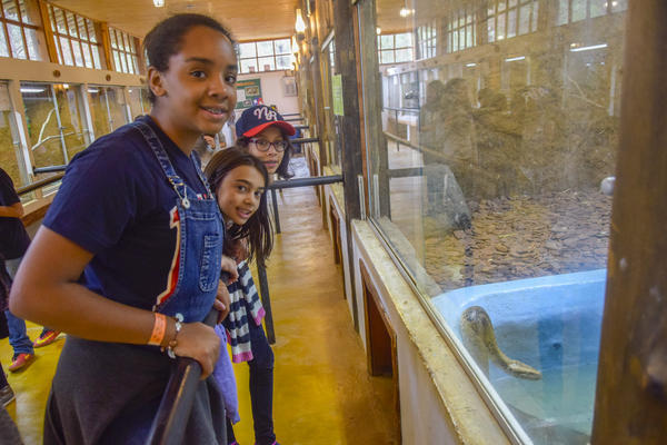 Buy your photos of the eventNR1 - Cl�ssico de 16 a 18/08/17 on Fotop