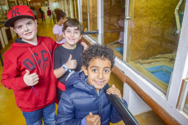 Buy your photos of the eventNR1 - Cl�ssico de 16 a 18/08/17 on Fotop