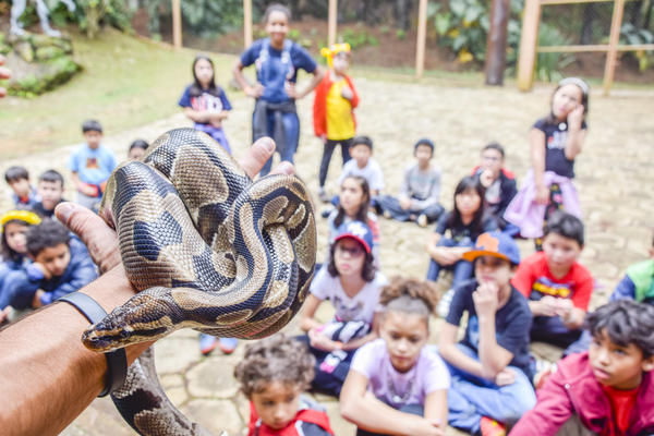 Buy your photos of the eventNR1 - Cl�ssico de 16 a 18/08/17 on Fotop