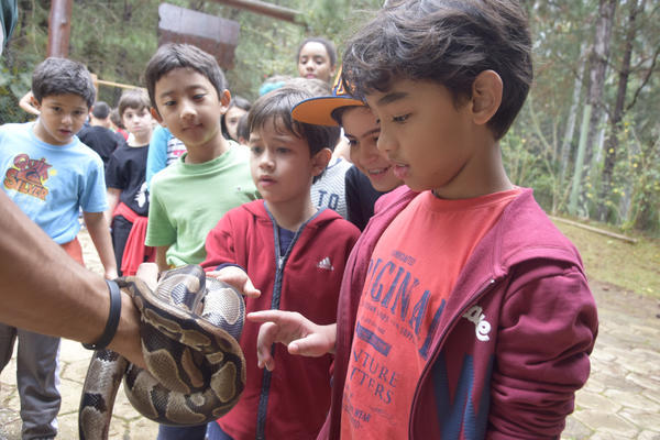 Buy your photos of the eventNR1 - Cl�ssico de 16 a 18/08/17 on Fotop