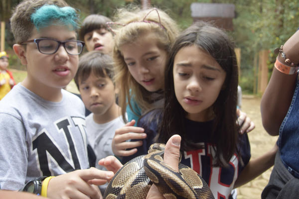 Buy your photos of the eventNR1 - Cl�ssico de 16 a 18/08/17 on Fotop