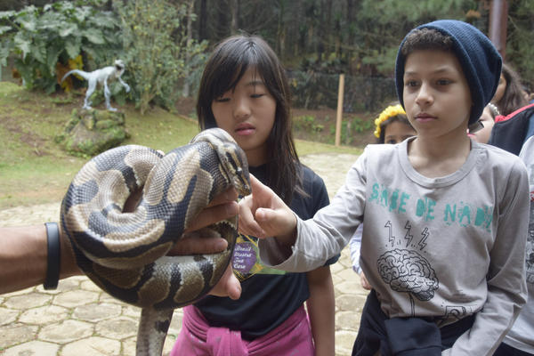 Buy your photos of the eventNR1 - Cl�ssico de 16 a 18/08/17 on Fotop