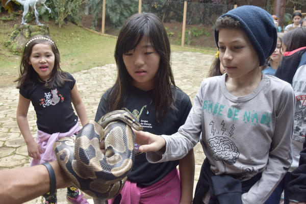 Buy your photos of the eventNR1 - Cl�ssico de 16 a 18/08/17 on Fotop