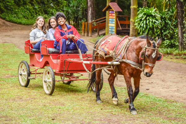 Buy your photos of the eventNR1 - Cl�ssico de 16 a 18/08/17 on Fotop