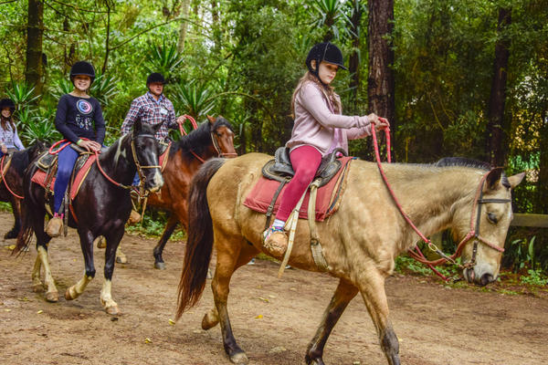 Buy your photos of the eventNR1 - Cl�ssico de 16 a 18/08/17 on Fotop