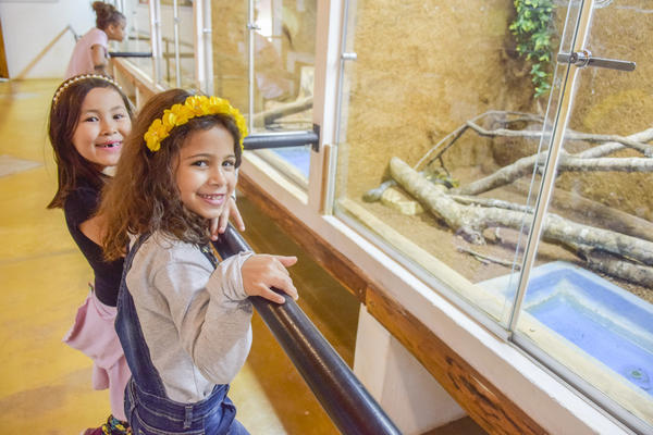 Buy your photos of the eventNR1 - Cl�ssico de 16 a 18/08/17 on Fotop