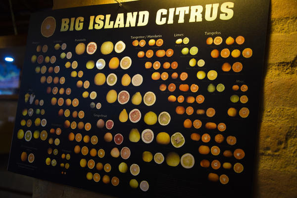 Buy your photos of the eventNR1 - English & Action 18 A 20/03/17 on Fotop