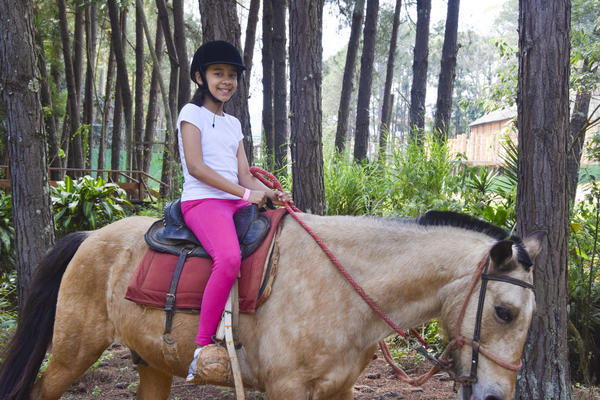 Buy your photos of the eventNR1 - English & Action 18 A 20/03/17 on Fotop