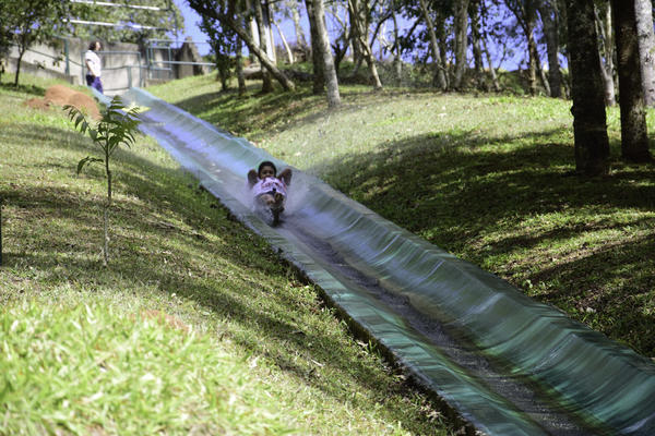 Buy your photos of the eventNR Fun - 23 a 27/08/17 on Fotop