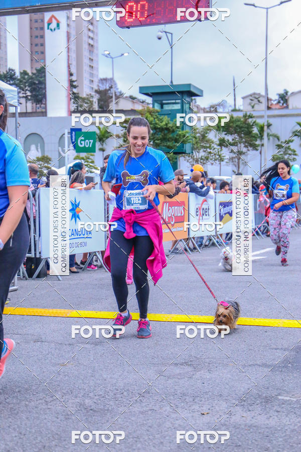 Buy your photos of the event6 Corrida do Shopping Aricanduva on Fotop