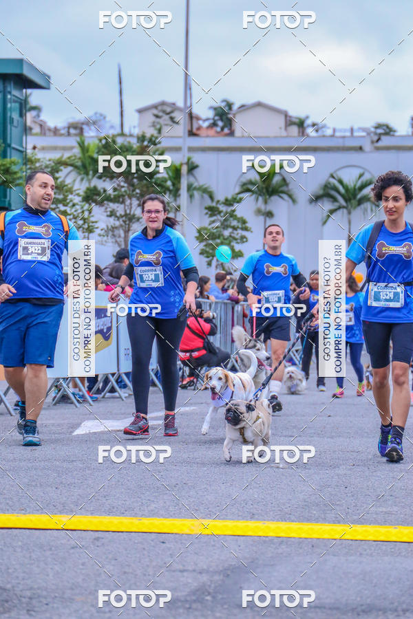 Buy your photos of the event6 Corrida do Shopping Aricanduva on Fotop
