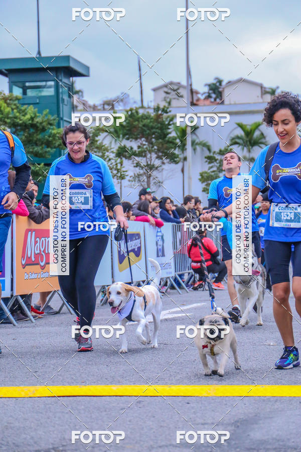 Buy your photos of the event6 Corrida do Shopping Aricanduva on Fotop