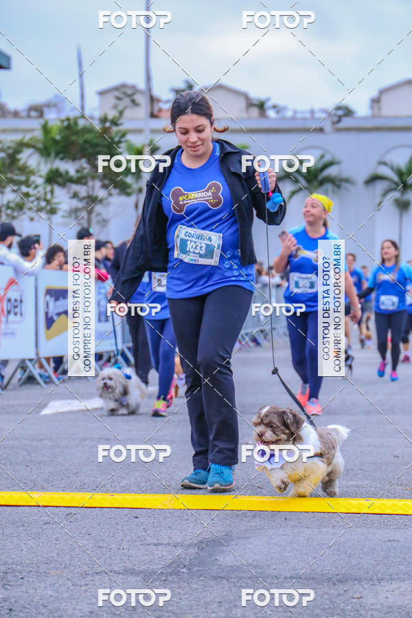 Buy your photos of the event6 Corrida do Shopping Aricanduva on Fotop