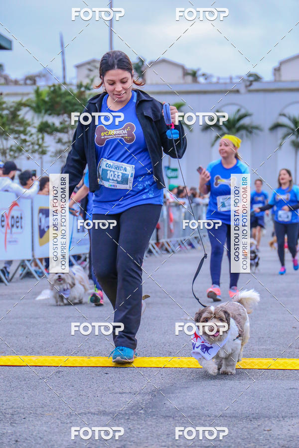 Buy your photos of the event6 Corrida do Shopping Aricanduva on Fotop